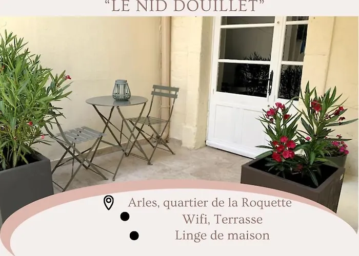 Le Nid Douillet Terrasse La Roquette Arles